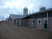     PONAST 5